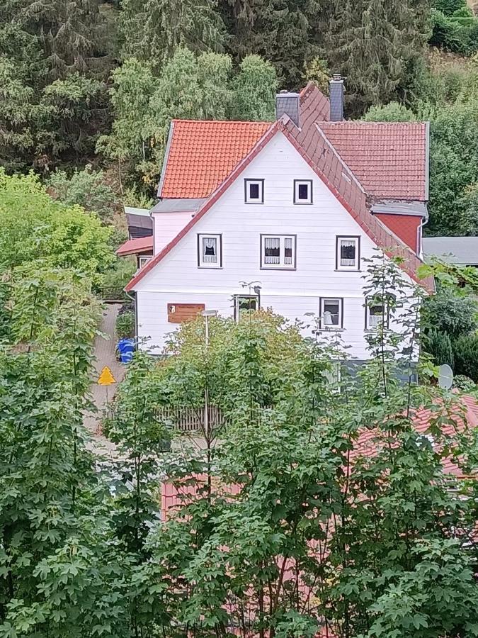 Ferienwohnungen Untermuehle, Rothenbergerstr. 12 Алтенау Екстериор снимка